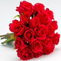 Red roses